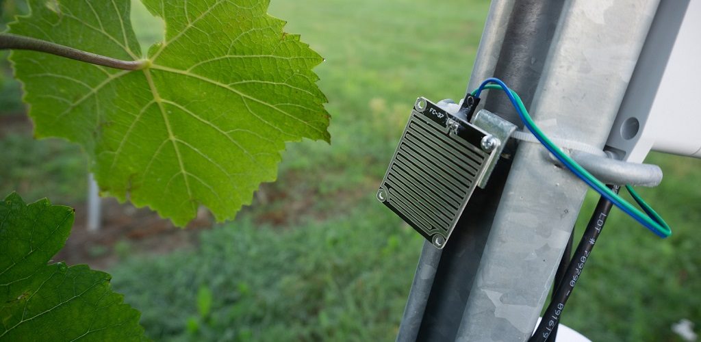 210122_Schwerpunkte_Abiotik_1024x500 Schwerpunkt Abiotik: Sensor zur Messung der Blattfeuchte im Weinbau