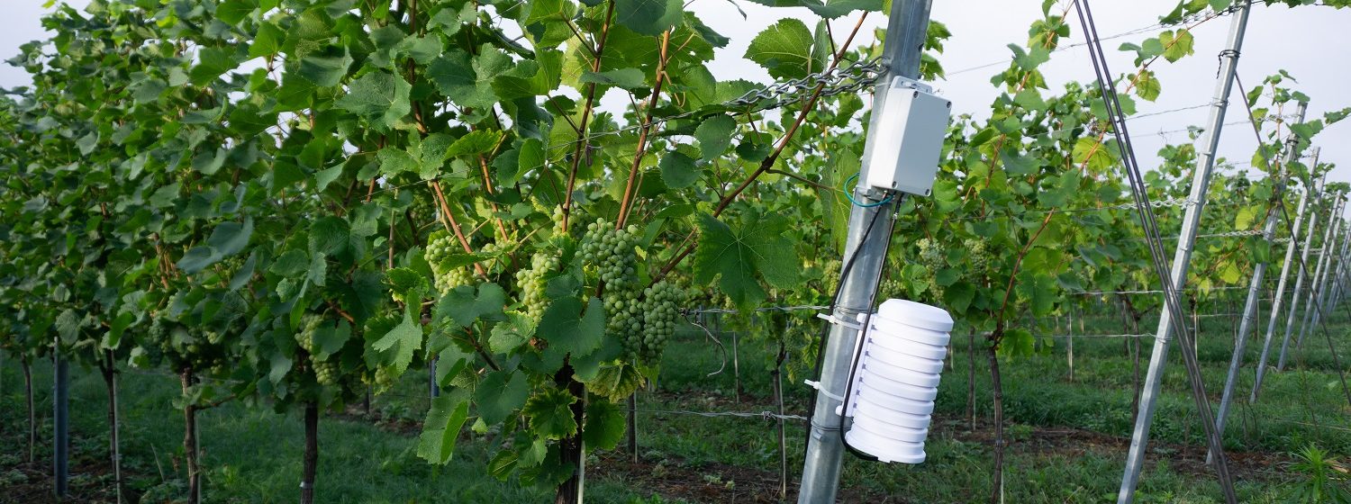 Smart Farming in Obst- und Weinbau: Schwerpunkte in EXPRESS.smart