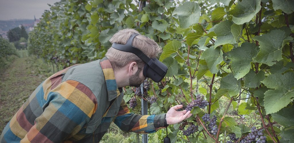 210218_Schwerpunkte_Virtuelle Realität_1024x500 Virtuelle Realität im Obst- und Weinbau: VR-Brille im Weinberg