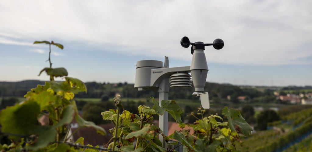 Pflanzengesundheitsmonitoring